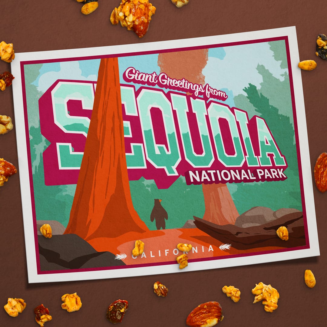 DNZN_BNG_BearsEyeView_Sequoia_V4