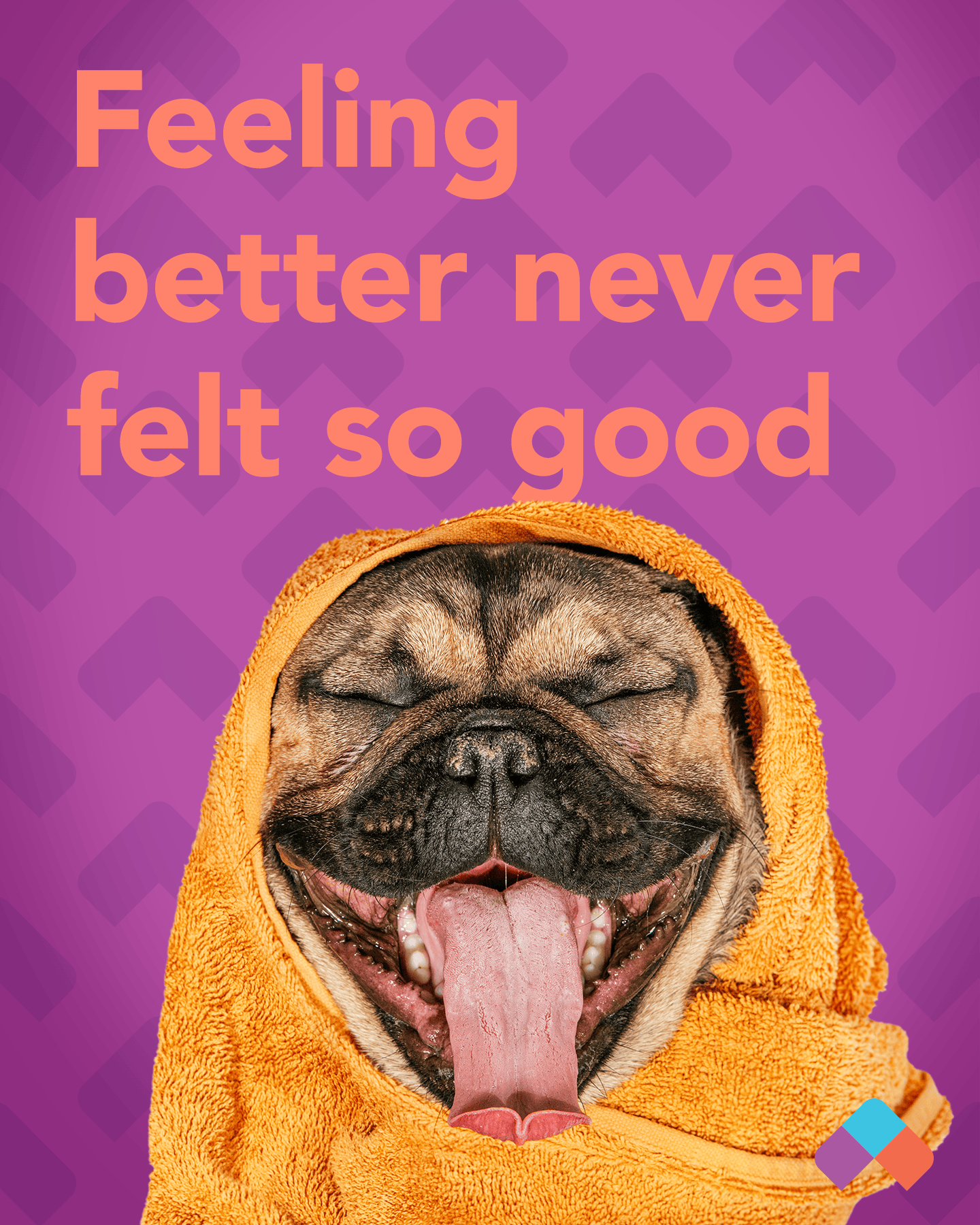 Quality_Care_V1a_4x5