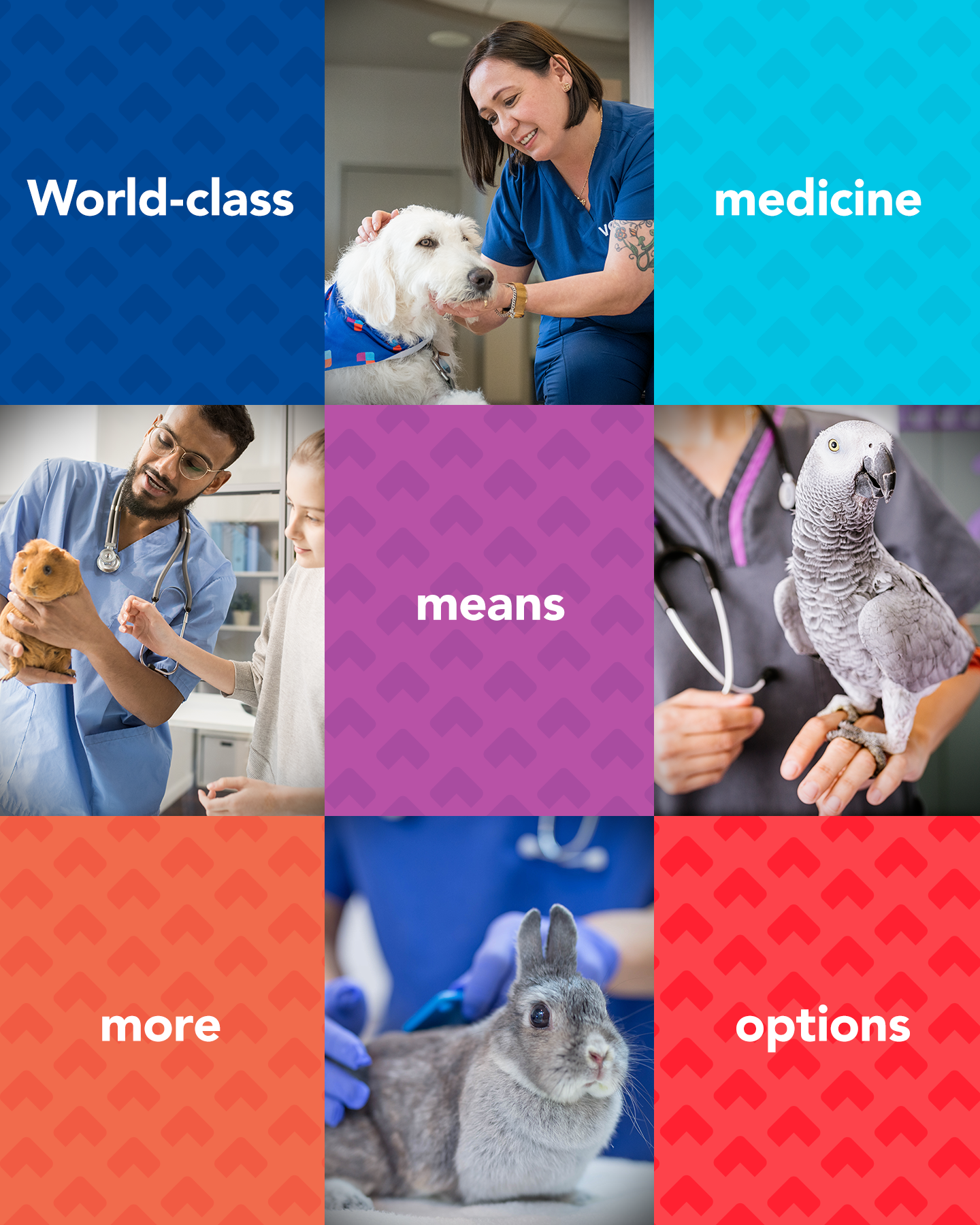 Quality_Care_V5_4x5.png~bak